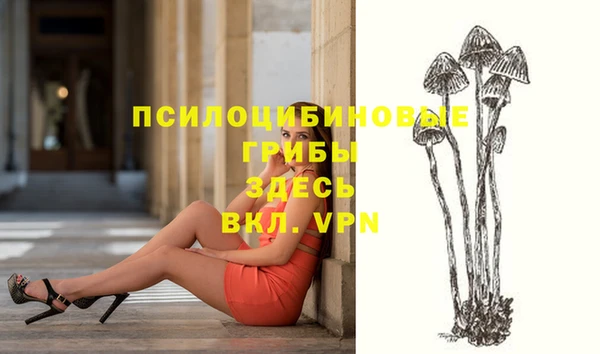 сатива Майский