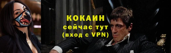 прущие грибы Медногорск