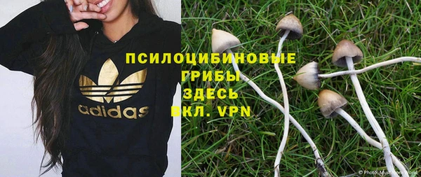 сатива Майский