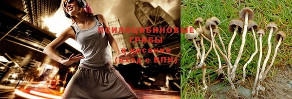 сатива Майский