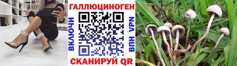 Галлюциногенные грибы мицелий  наркошоп  KRAKEN онион  Мурино 